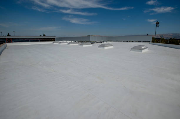Best Green or Eco-Friendly Roofing Solutions  in Lyons, CO
